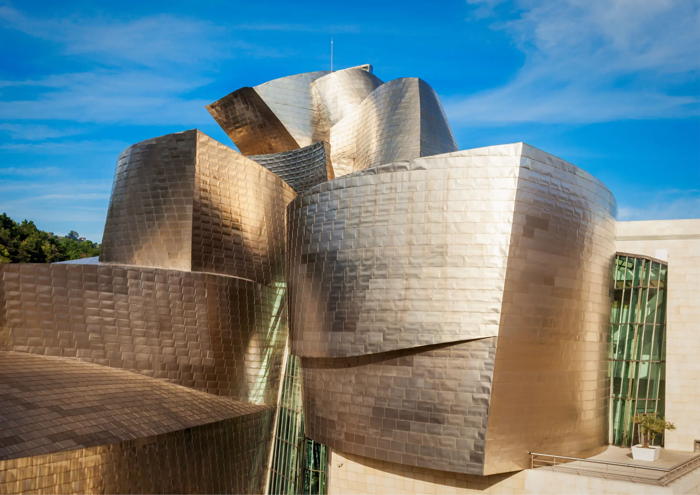 Private guided tour to the guggenheim museum