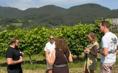 Corporate Wine Tours in Bilbao Give Business Trips a Local Edge